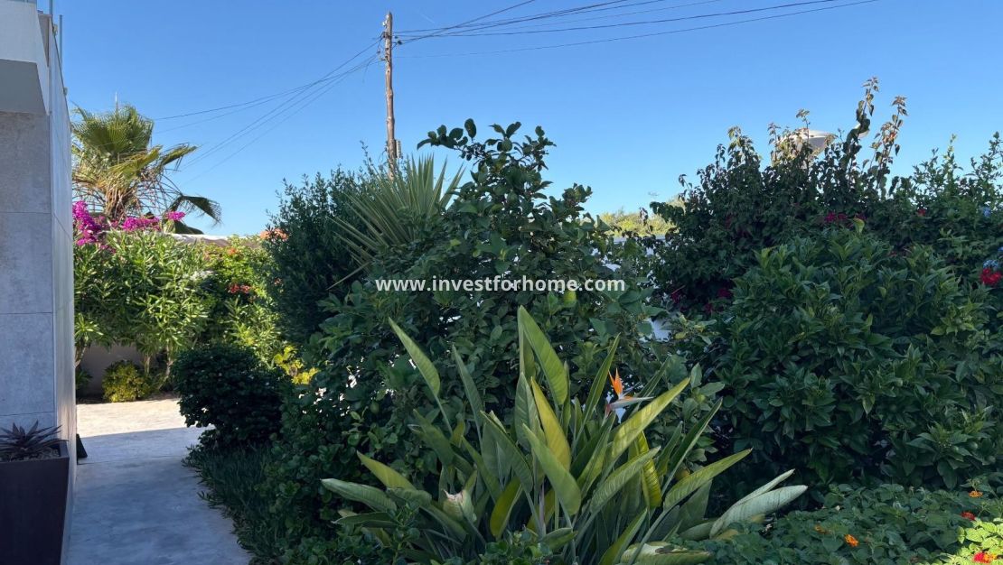 Verkoop - Villa - Torrevieja - La Siesta