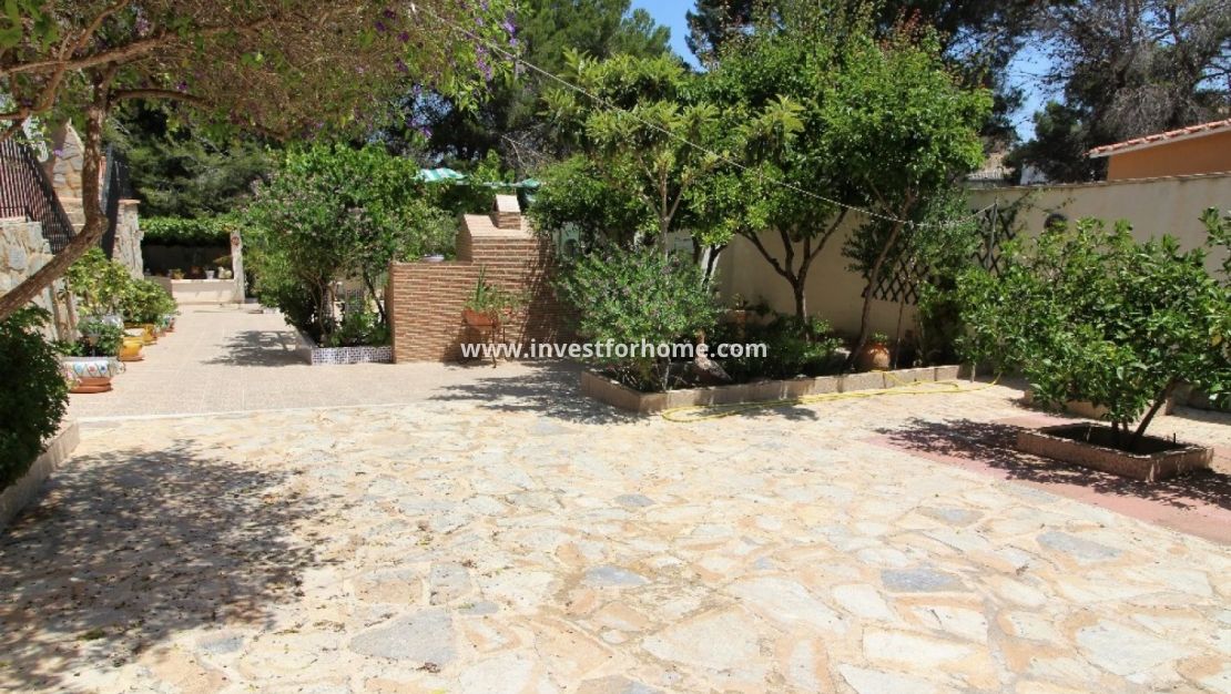 Verkoop - Villa - Torrevieja - Los Balcones