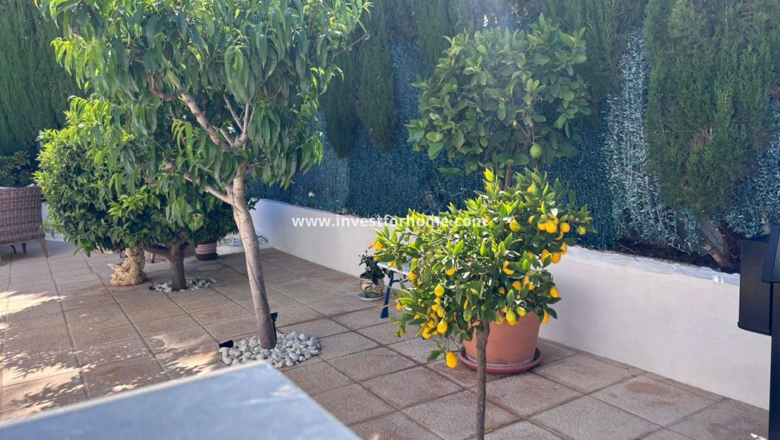 Verkoop - Villa - Torrevieja - Los Balcones