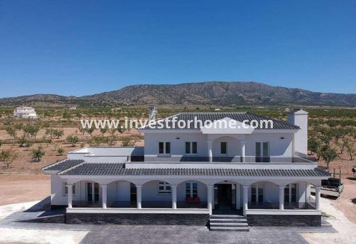 Villa - Nouvelle construction - Pinoso - NB-90623