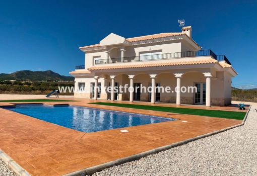 Villa - Nybyggnad - Pinoso - NB-18367