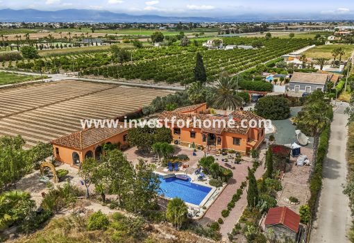Villa - Sale - Daya vieja - Daya vieja