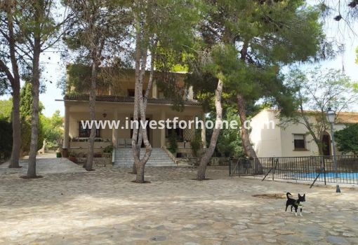 Villa - Sale - Torrevieja - Los Balcones