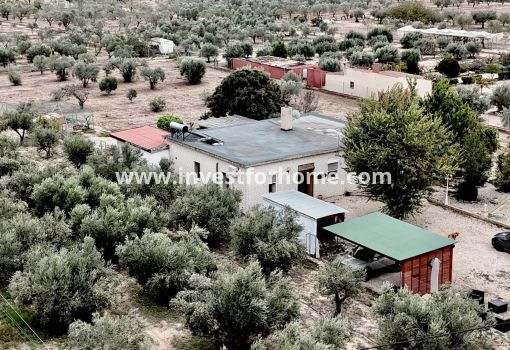 Villa - Verkoop - Salinas - ND-65450